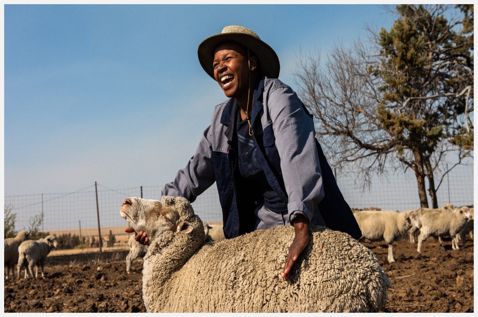 CLIMATE SMART CROP-LIVESTOCK-AQUACULTURE INTEGRATION [Adapted]